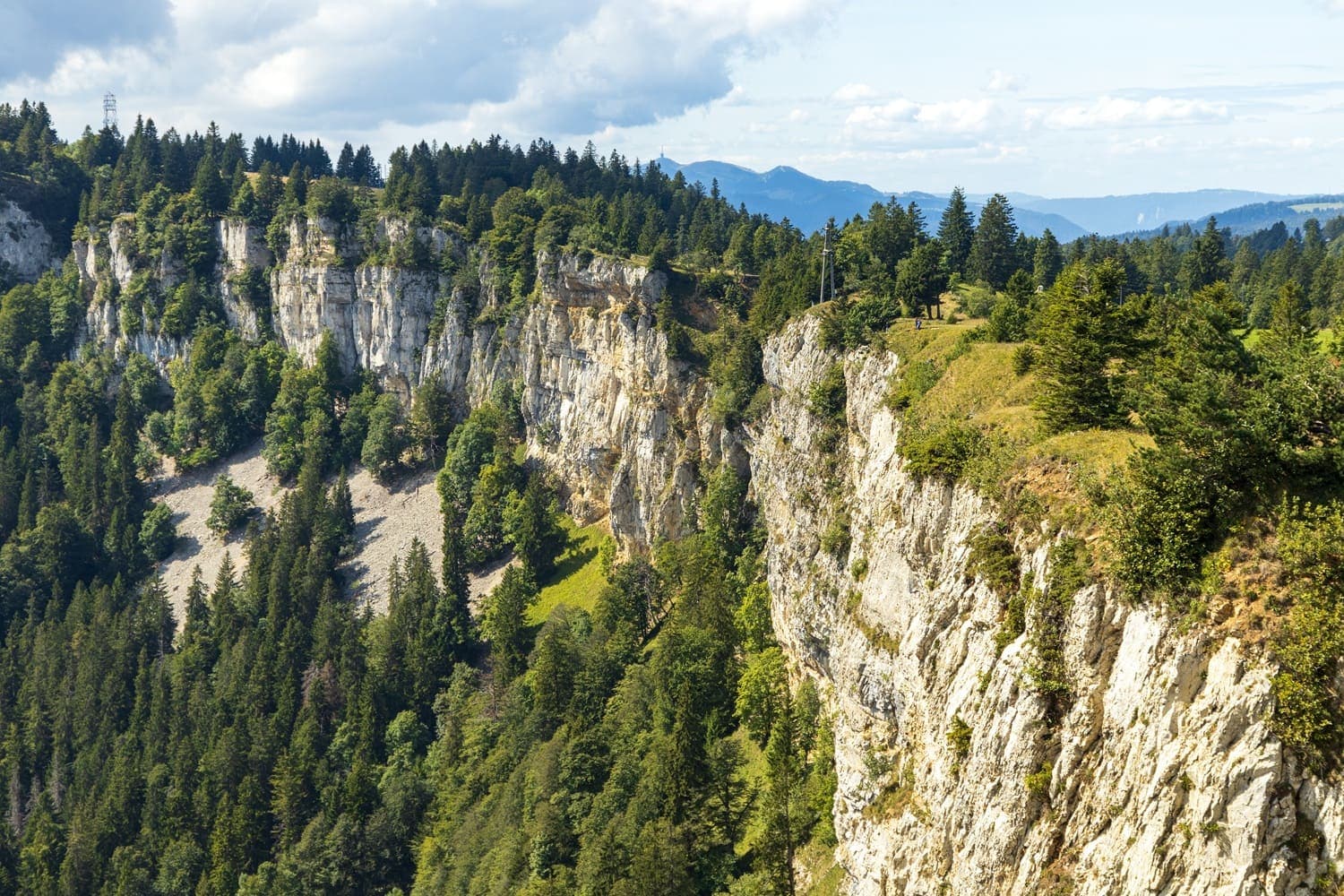 Eine Wandfluh mit Wald in Grenchenberg im Kanton Jura.