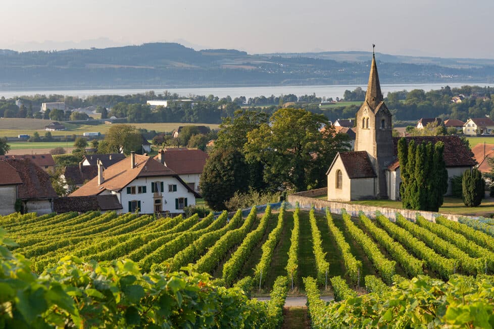 Weinberge und kleine Kirche in der Region Yverdon-les-Bains mit Blick auf den Neuenburgersee